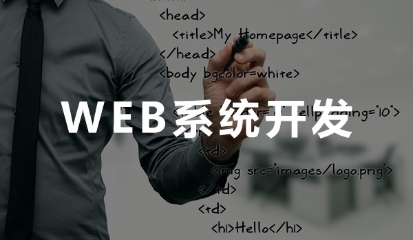 WEB系統開發